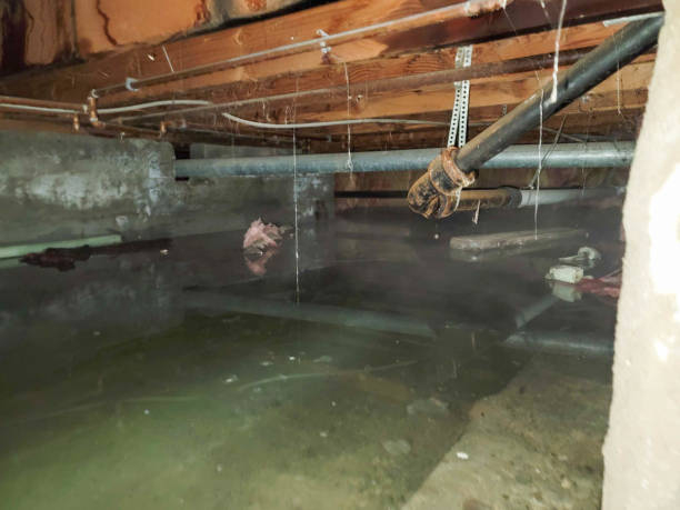 Best Water damage restoration near me  in Winooski, VT