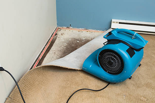 Best Local water damage restoration  in Winooski, VT